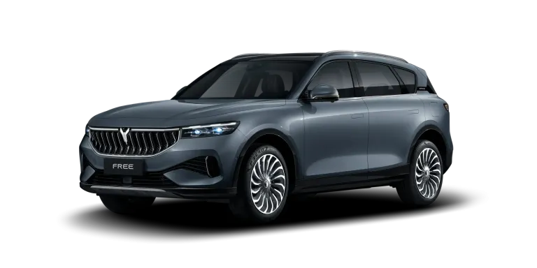 VOYAH Gebrauchtwagen