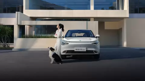 DONGFENG BOX in Weiss jetzt günstig Leasen